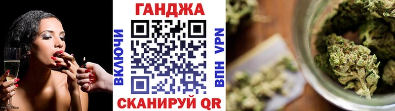 Бошки Шишки план  Купить где  Шумиха 